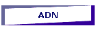 ADN